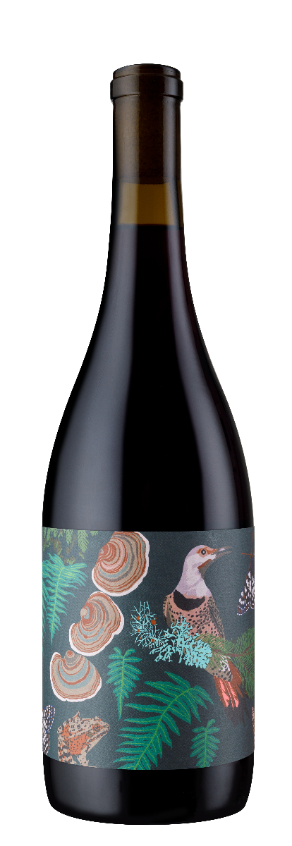 Ami Amis 2020 Pinot Noir セット Anne Amie Willamette Valley Pinot Noir 2024 750ML